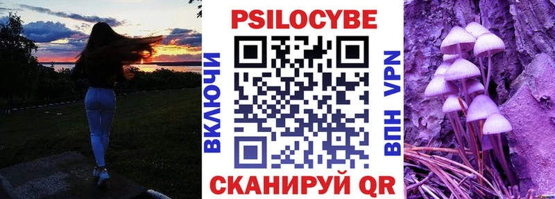 Псилоцибиновые грибы Cubensis  Севастополь 