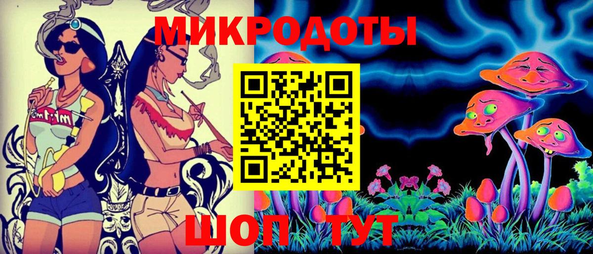 Псилоцибиновые грибы Cubensis  Севастополь  Галлюциногенные грибы Psilocybine cubensis 