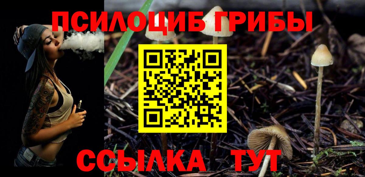 Галлюциногенные грибы мухоморы  Галлюциногенные грибы Psilocybe  Севастополь  Вход с VPN 